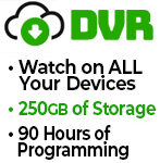 DVR_250GB